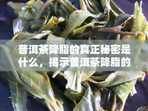 普洱茶降脂的真正秘密是什么，揭示普洱茶降脂的秘密：你不知道的事实！