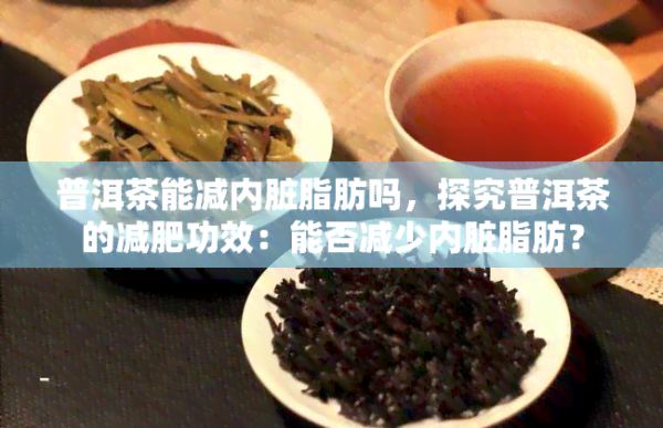 普洱茶能减内脏脂肪吗，探究普洱茶的减肥功效：能否减少内脏脂肪？