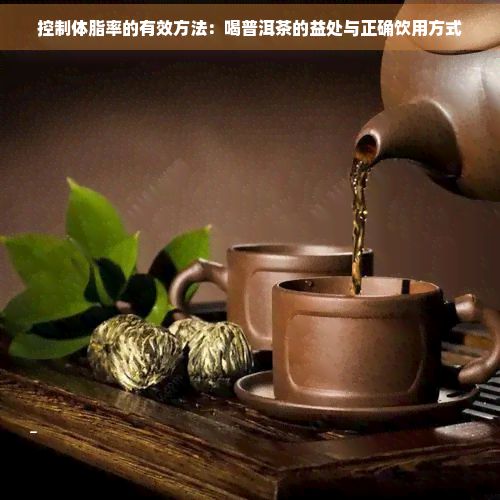 控制体脂率的有效方法：喝普洱茶的益处与正确饮用方式