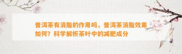普洱茶有消脂的作用吗，普洱茶消脂效果怎样？科学解析茶叶中的减肥成分