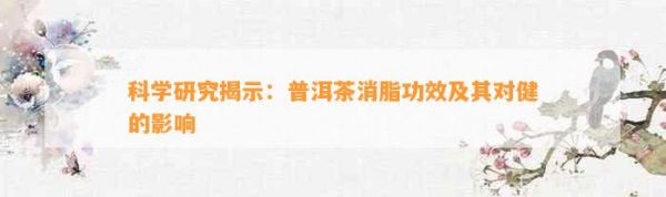 科学研究揭示：普洱茶消脂功效及其对健的影响