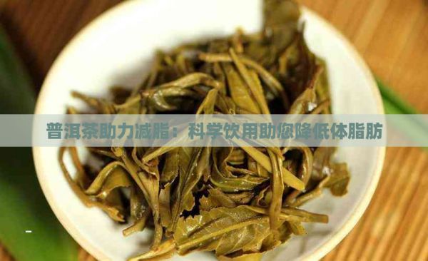 普洱茶助力减脂：科学饮用助您降低体脂肪