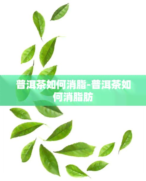 普洱茶如何消脂-普洱茶如何消脂肪