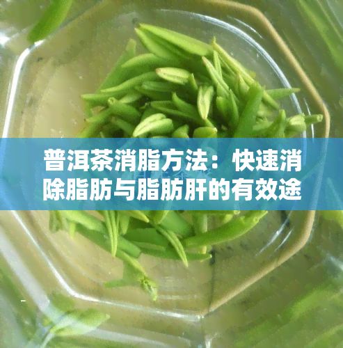 普洱茶消脂方法：快速消除脂肪与脂肪肝的有效途径