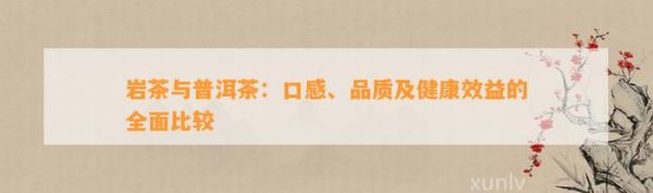 岩茶与普洱茶：口感、品质及健康效益的全面比较