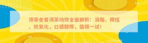 淳茶舍普洱茶功效全面解析：消脂、降压、抗氧化，口感醇厚，值得一试！