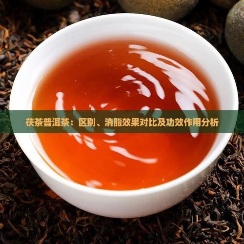 茯茶普洱茶：区别、消脂效果对比及功效作用分析