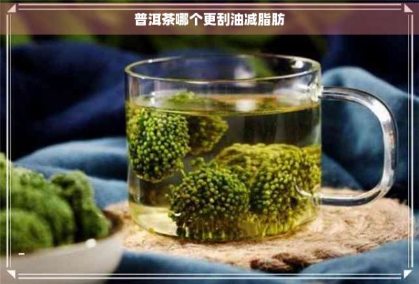 普洱茶哪个更刮油减脂肪
