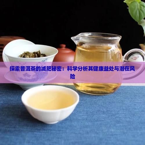 探索普洱茶的减肥秘密：科学分析其健康益处与潜在风险