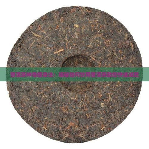 普洱茶神奇瘦身法：揭秘如何饮用普洱茶助您快速减肥