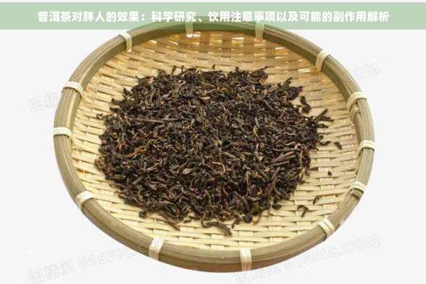 普洱茶对胖人的效果：科学研究、饮用注意事项以及可能的副作用解析