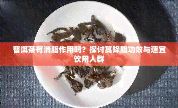 普洱茶有消脂作用吗？探讨其降脂功效与适宜饮用人群