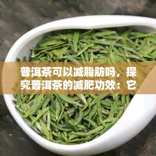 普洱茶可以減脂肪嗎，探究普洱茶的減肥功效：它能幫助你減掉脂肪嗎？