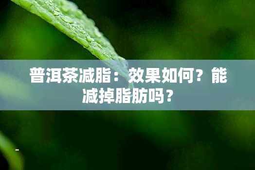 普洱茶减脂：效果如何？能减掉脂肪吗？