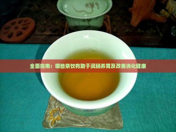 全面指南：哪些茶飲有助于潤腸養(yǎng)胃及改善消化健康