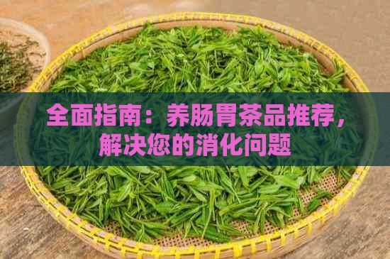 全面指南：養(yǎng)腸胃茶品推薦，解決您的消化問(wèn)題