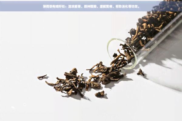 薄荷茶有啥好处：清凉解暑、提神醒脑、缓解胃痛、帮助消化等功效。