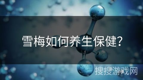 雪梅如何养生保健？