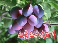 功能與主治：斂肺， 澀腸，生津，安蛔。用于肺虛久咳，久痢久瀉，虛熱消渴，蛔厥嘔吐腹痛；膽道蛔蟲癥。