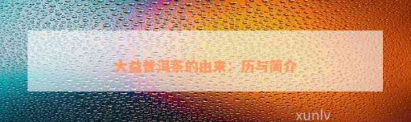 大益普洱茶的由来：历与简介