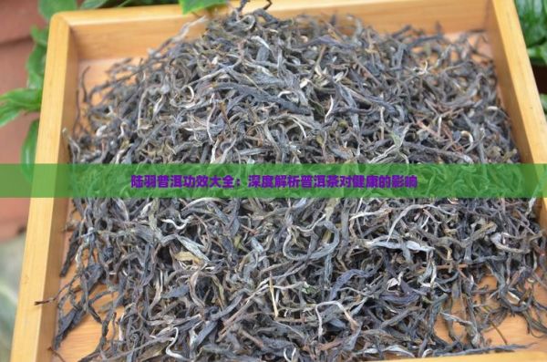 陸羽普洱功效大全：深度解析普洱茶對(duì)健康的影響