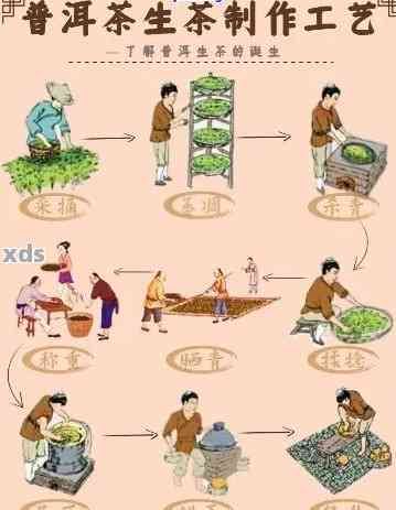 普洱茶制作全流程：从原料选取到品质提升，一文解析详尽工艺与技巧