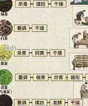 普洱茶制作全流程：从原料选取到品质提升，一文解析详尽工艺与技巧