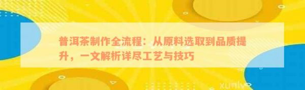 普洱茶制作全流程：从原料选取到品质提升，一文解析详尽工艺与技巧