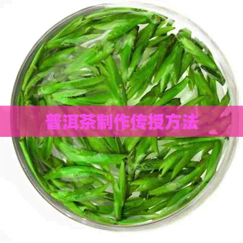 普洱茶制作傳授方法