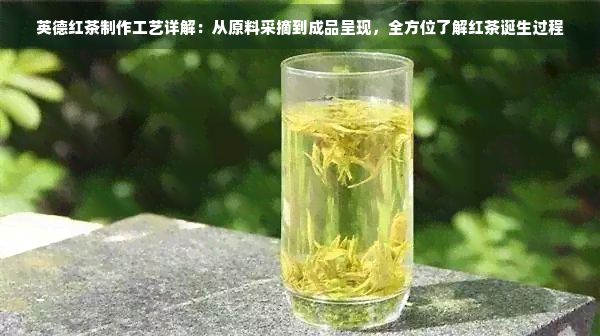 英德红茶制作工艺详解：从原料采摘到成品呈现，全方位了解红茶诞生过程