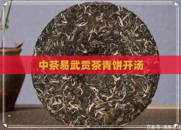 中茶易武贡茶青饼开汤