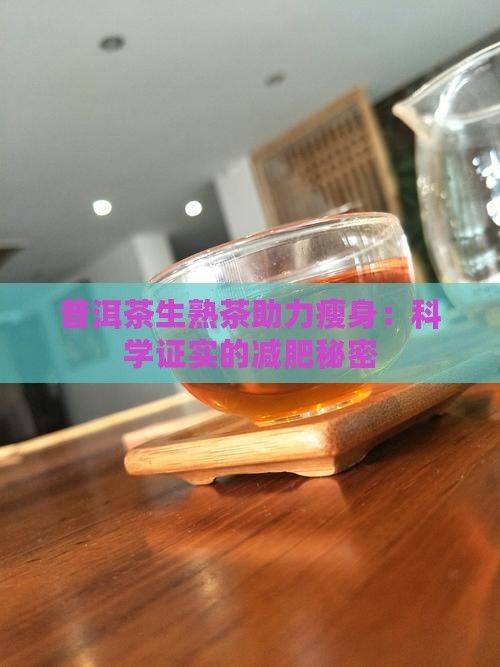 普洱茶生熟茶助力瘦身：科学证实的减肥秘密