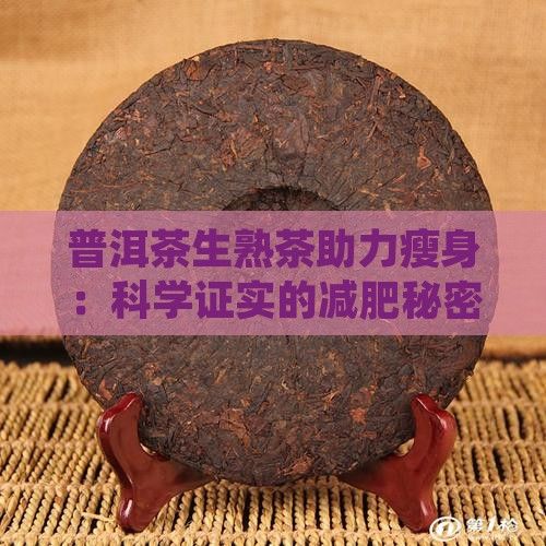 普洱茶生熟茶助力瘦身：科学证实的减肥秘密