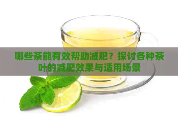 哪些茶能有效帮助减肥？探讨各种茶叶的减肥效果与适用场景