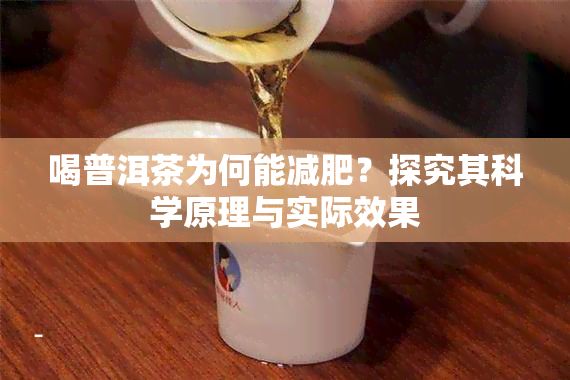 喝普洱茶为何能减肥？探究其科学原理与实际效果