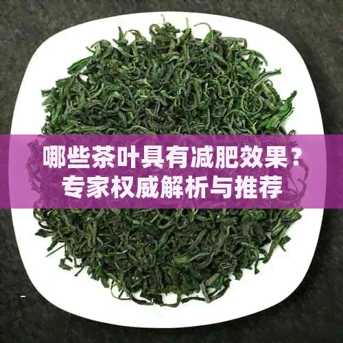 哪些茶葉具有減肥效果？專家權威解析與推薦