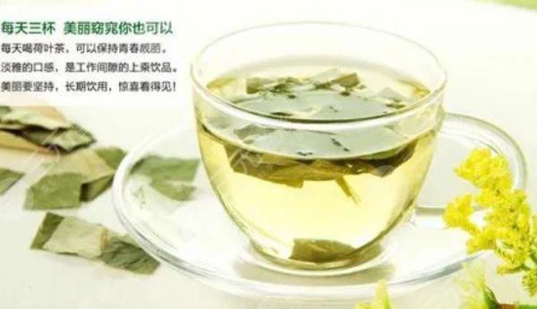 荷葉減肥茶