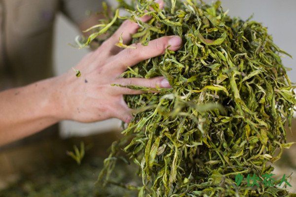 制茶的工艺流程，茶叶的制作流程五个步骤