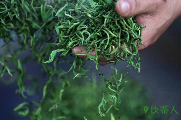 绿茶加工工艺流程，五大加工工序(制茶详细流程)