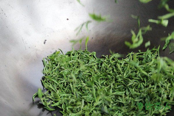 绿茶加工工艺流程，五大加工工序(制茶详细流程)