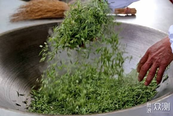 简明扼要讲通六大茶类（制作工艺的异同而分） _新浪众测