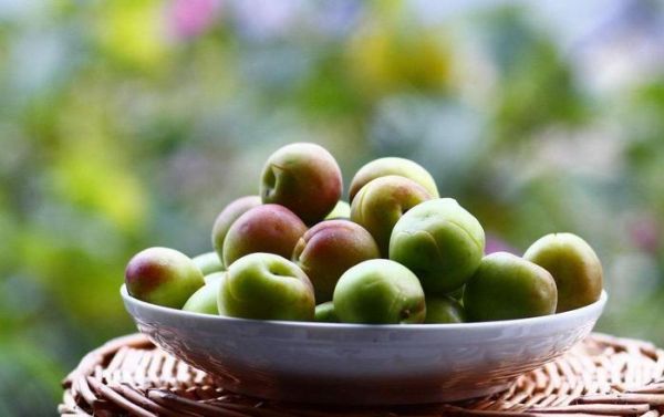 炎炎夏日，喝一杯梅子茶，爽口止渴，但這些禁忌你知道嗎？
