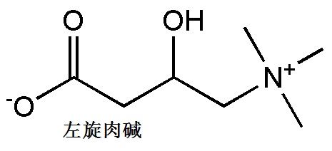 左旋肉碱 结构式