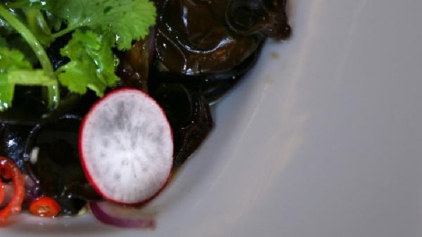 中醫(yī)養(yǎng)生吃什么好？中醫(yī)最認(rèn)可的9大養(yǎng)生食物