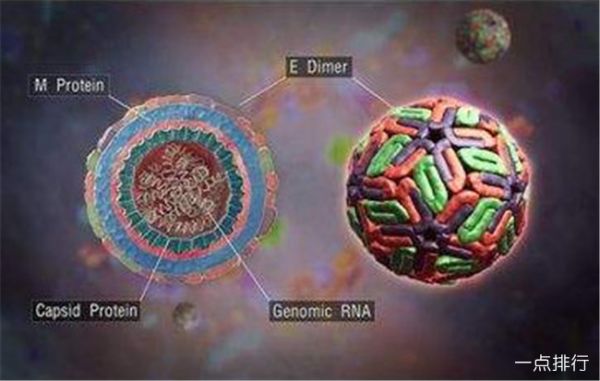 世界十大恐怖病毒排名