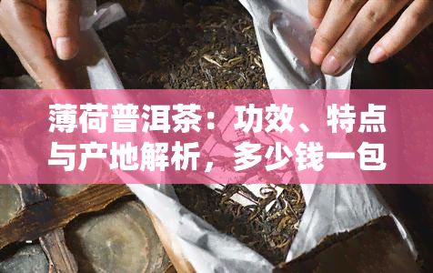薄荷普洱茶：功效、特点与产地解析，多少钱一包？