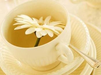 枸杞菊花茶的功效與作用