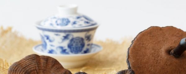 枸杞菊花茶可以加冰糖吗 枸杞菊花茶可不可以加冰糖 枸杞菊花茶加冰糖好吗