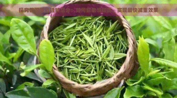 探究普洱茶的独特成分：如何帮助消脂肪，实现最快减重效果