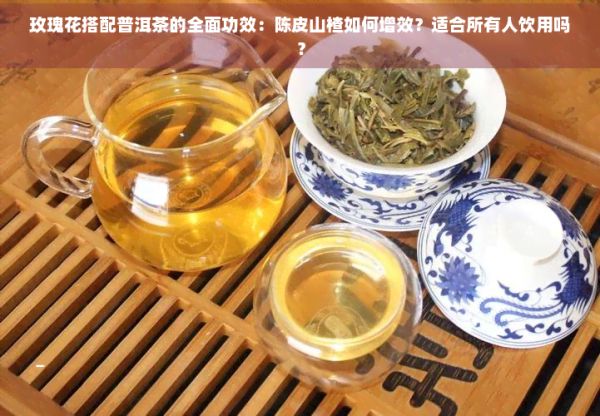 玫瑰花搭配普洱茶的全面功效：陈皮山楂如何增效？适合所有人饮用吗？
